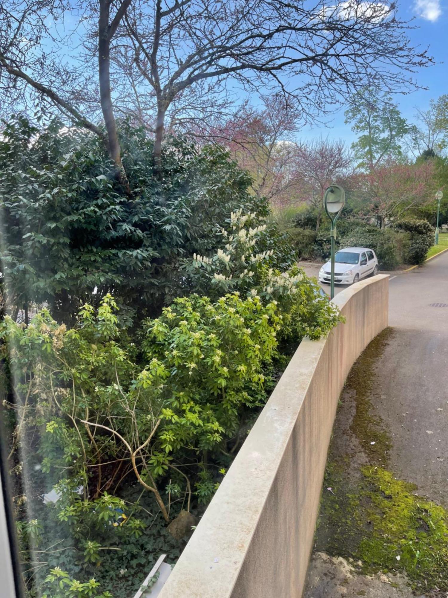 Les Logis De Paray Appartement N2 Esterno foto